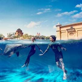 Dubaj: Pływaj z delfinami w parku wodnym Atlantis