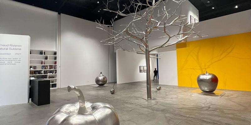 Galeria Custot