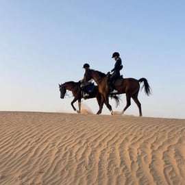 Dubaj: Godzinna jazda konna w klubie jeździeckim M11