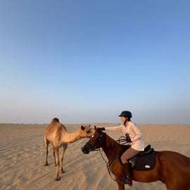 Dubaj: Godzinna jazda konna w klubie jeździeckim M11