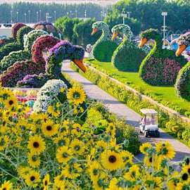 Dubai: Miracle Garden Tickets with Round-trip Transfer
