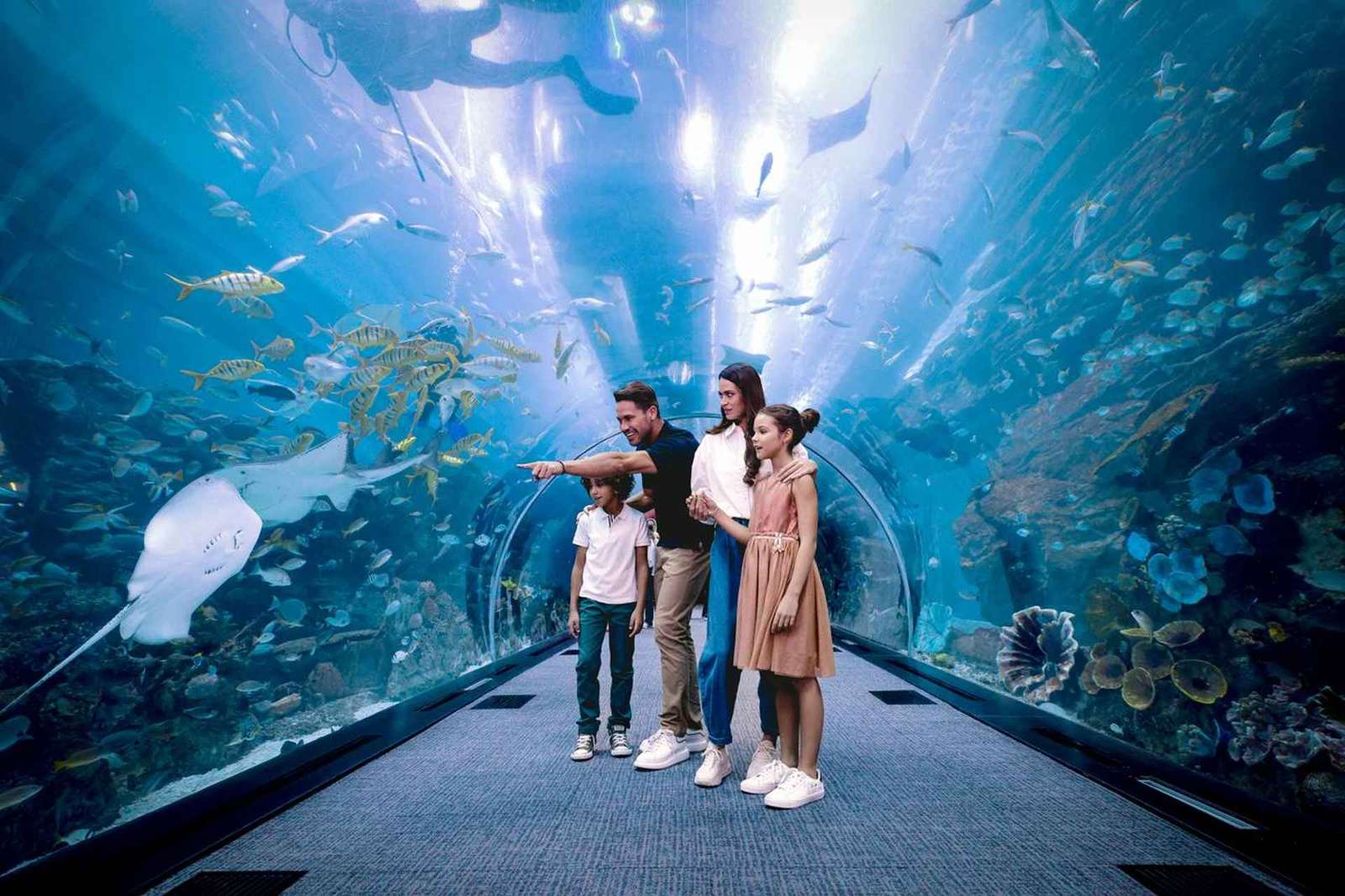 Dubaj: Bilet do akwarium i podwodnego zoo oraz Penguin Cove