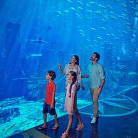 Dubaj: Atlantis Aquaventure i Lost and Chambers Combo