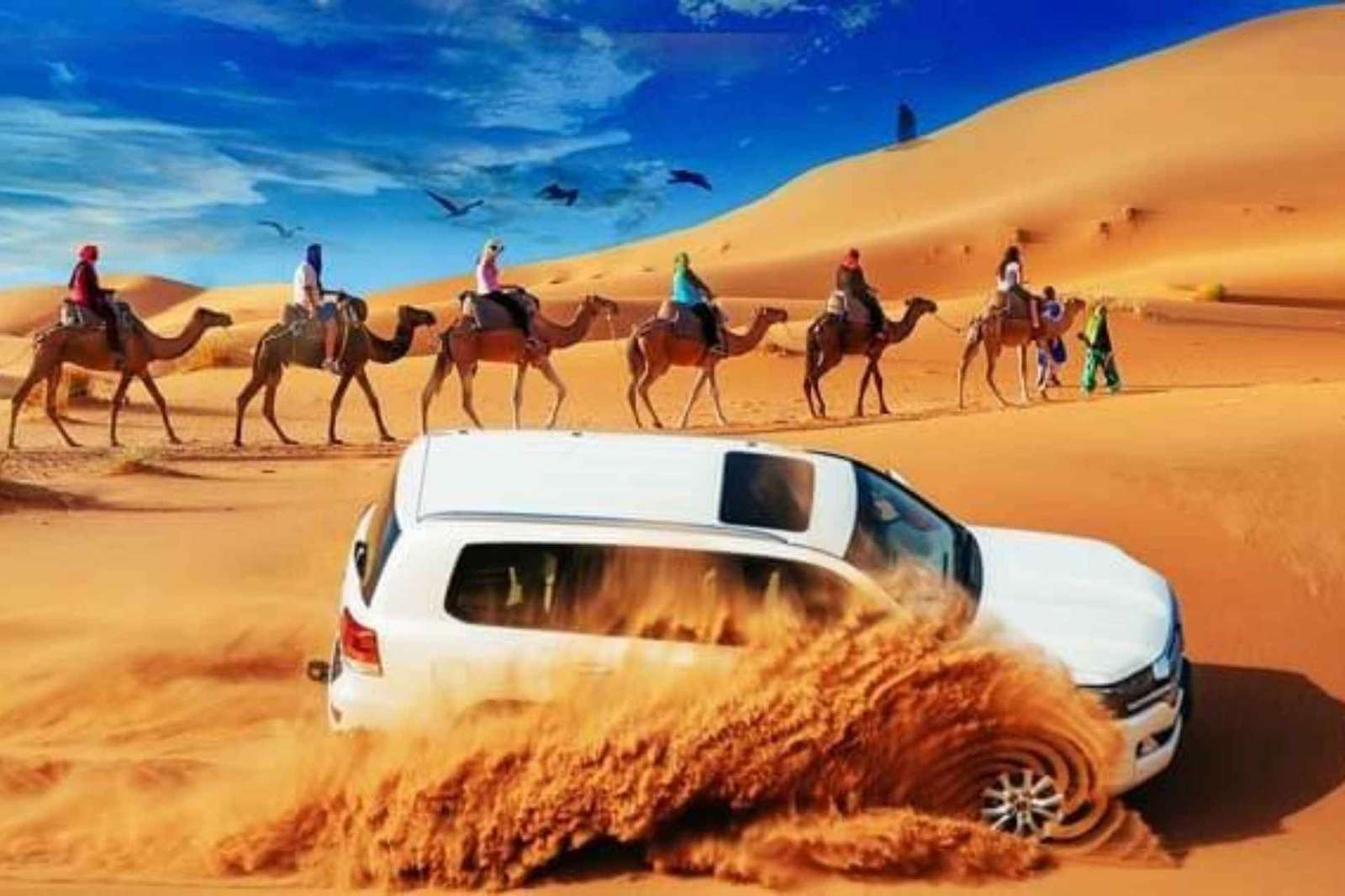Dubaj: Pustynne safari VIP, quady, jazda na wielbłądzie, grill i show