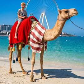 Dubaj: przejażdżka na wielbłądzie z przewodnikiem po plaży JBR z widokiem na panoramę