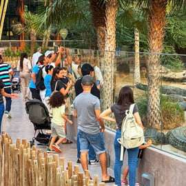 Dubai Crocodile Park Entry Ticket