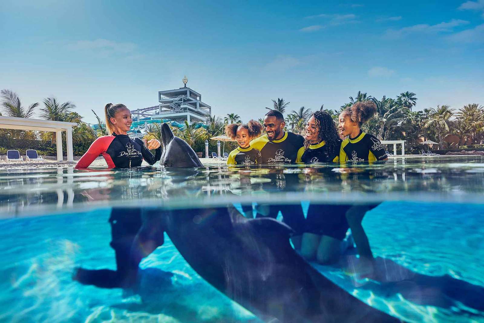 Dubaj: Bilet na spotkanie z delfinami i do parku wodnego Aquaventure