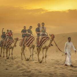 Dubaj: Safari na pustyni, quady, sandboarding, wielbłądy i grill