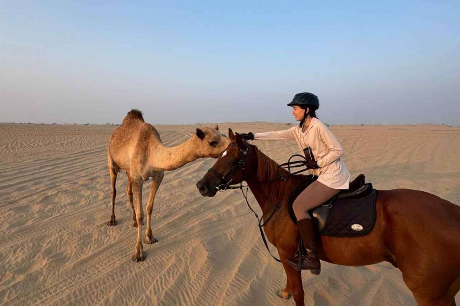 Dubaj: Godzinna jazda konna w klubie jeździeckim M11