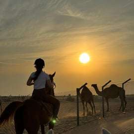 Dubaj: Godzinna jazda konna w klubie jeździeckim M11
