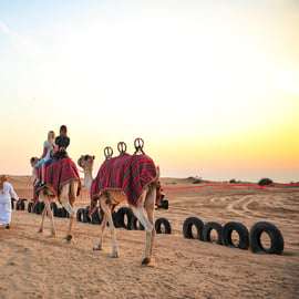 Dubai: Family Friendly Desert Tour with Flamingo Sanctuary