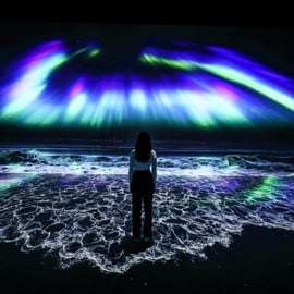 Dubaj: Bilet wstępu do ARTE Immersive Museum
