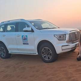 Dubaj: wieczorne safari na pustyni z kolacją w formie bufetu