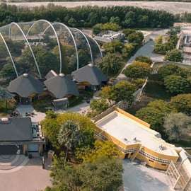 Dubai: Dubai Safari Park Entry Pass