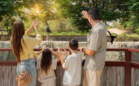 Dubai: Dubai Safari Park Entry Pass