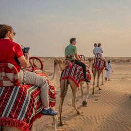Dubaj: Obóz Al Marmoom Oasis z kolacją beduińską
