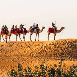 Dubaj: safari po czerwonych wydmach, przejażdżka na wielbłądach, sandboarding i kolacja