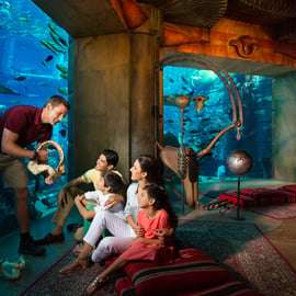 Dubaj: Nurkowanie w akwarium Atlantis w Zaginionych Komnatach