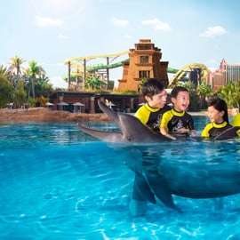 Dubaj: Bilet na spotkanie z delfinami i do parku wodnego Aquaventure