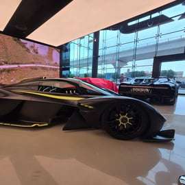 Dubai: Luxury Car Showroom Tour with Dubai Mall Drop-Off