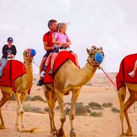 Dubaj: Safari, quady, przejażdżka na wielbłądzie i kolacja w formie bufetu