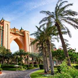 Dubaj: Bilet na spotkanie z delfinami i do parku wodnego Aquaventure