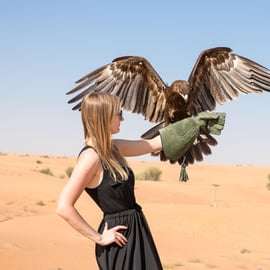 Dubai: Family Friendly Desert Tour with Flamingo Sanctuary