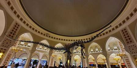 Dubaj Dino