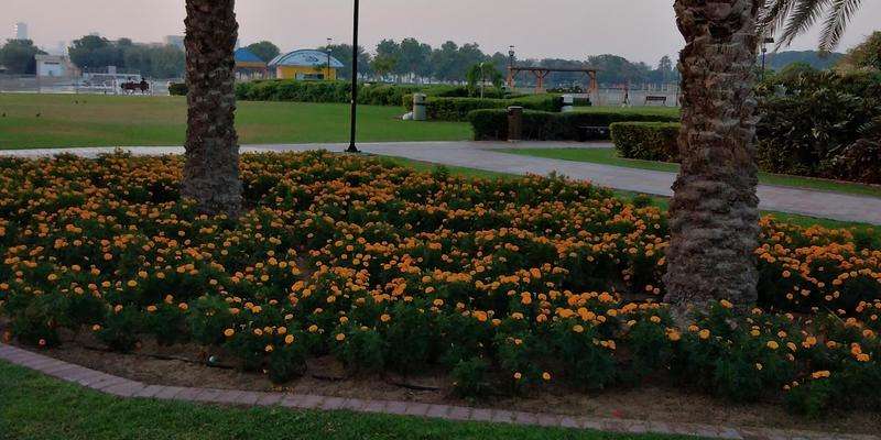 Park Stawowy Al Barsha