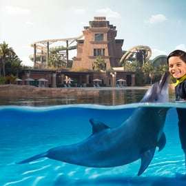 Dubaj: Bilet na spotkanie z delfinami i do parku wodnego Aquaventure