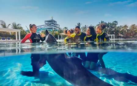 Dubaj: Bilet na spotkanie z delfinami i do parku wodnego Aquaventure
