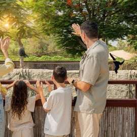 Dubai: Dubai Safari Park Entry Pass