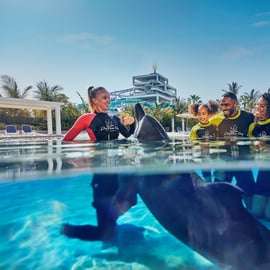Dubaj: Bilet na spotkanie z delfinami i do parku wodnego Aquaventure