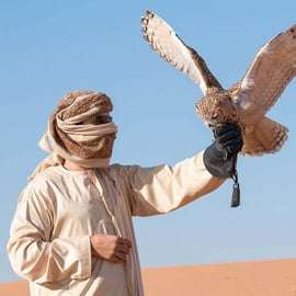 Desert Tour by ATV/Buggy Self-drive, VIP Dinner, Camel Ride