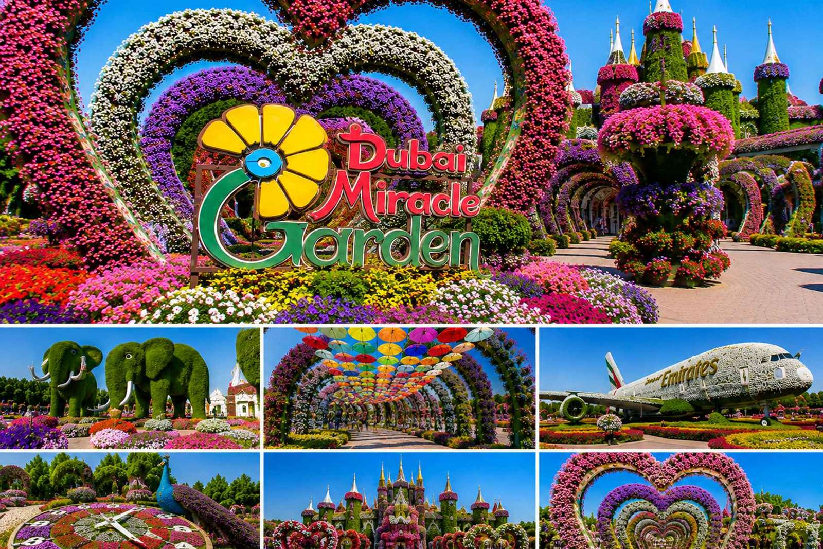 Dubai: Miracle Garden Tickets with Round-trip Transfer