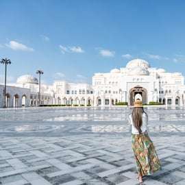 From Dubai: Abu Dhabi City Tour with Optional Lunch