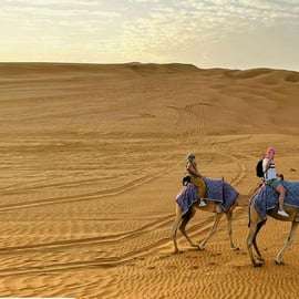 Dubai: VIP Desert Safari with Quad Bike, Camel Ride & Dinner