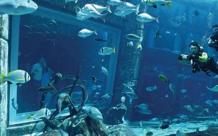 Dubaj: Nurkowanie w akwarium Atlantis w Zaginionych Komnatach