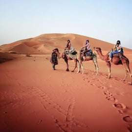 Dubaj: Poranny pustynny quad, buggy lub przejażdżka samochodem 4x4 na czerwonych wydmach