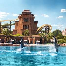 Dubaj: Pływaj z delfinami w parku wodnym Atlantis