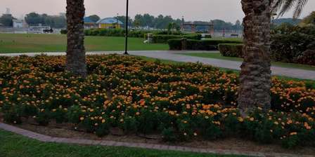Park Stawowy Al Barsha